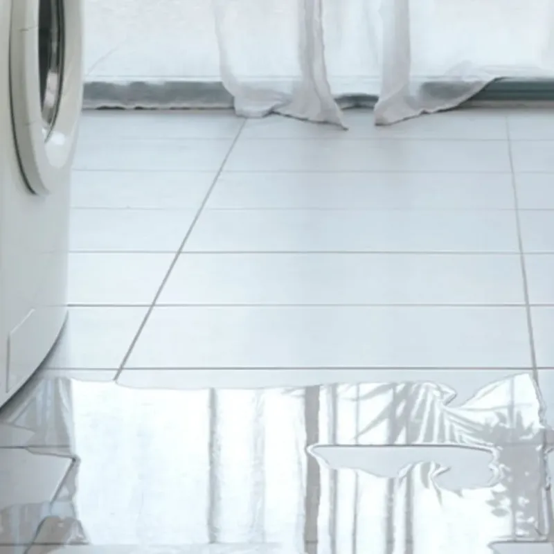Appliance Leak Cleanup in Walker County, TX