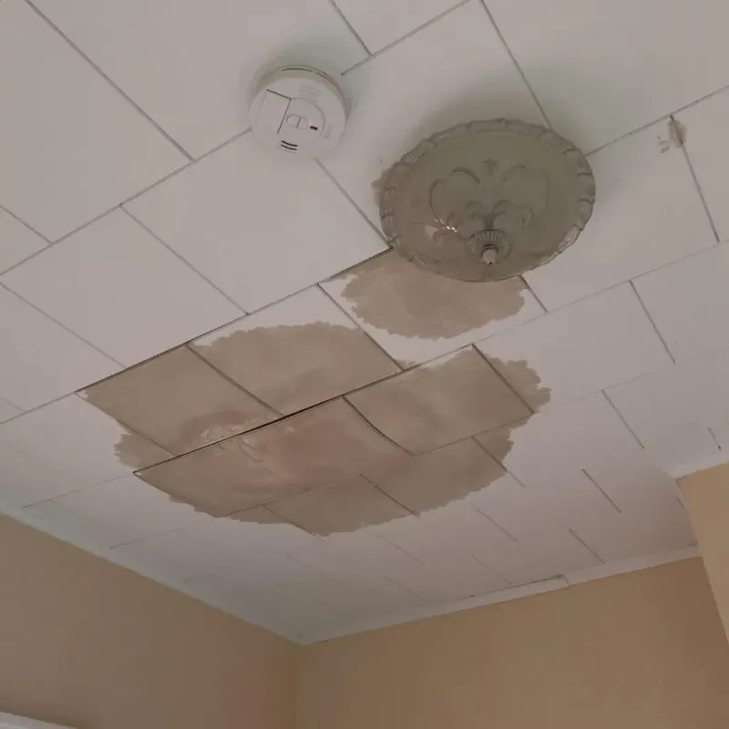 Ceiling Water Damage Repair in Walker County, TX