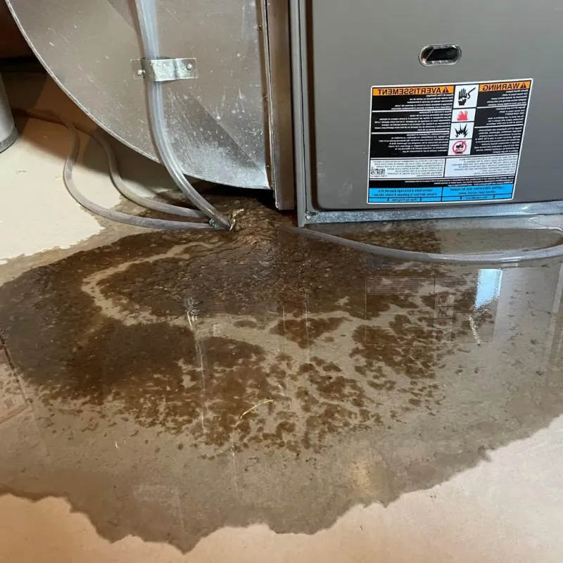 Pipe Burst and Leak Restoration in Walker County, TX